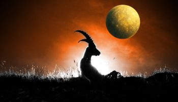 Mercury in Capricorn 2026 opens the game of big decisions. PLANS in FORCE for ALL signs at the beginning of the year!