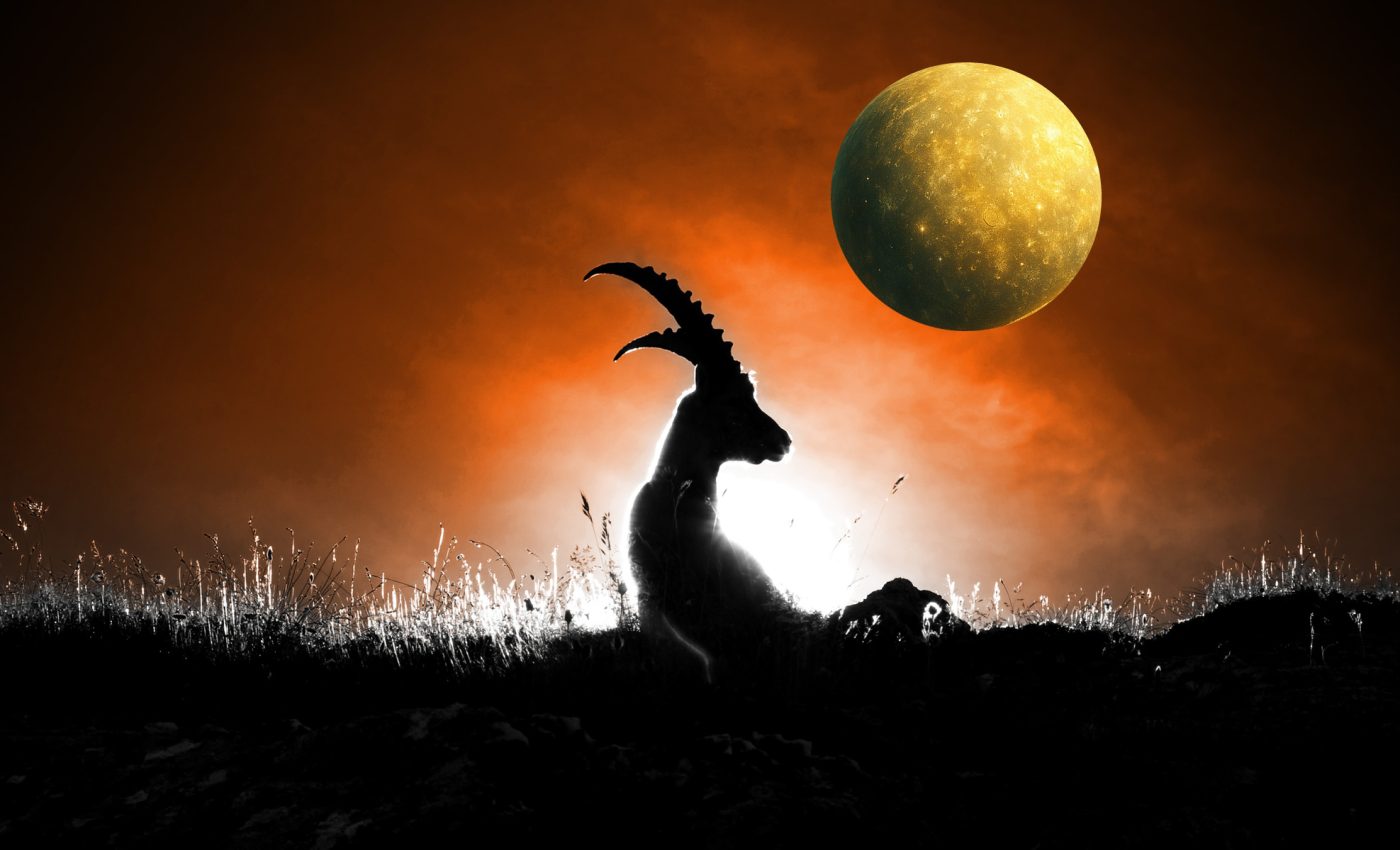 Mercury in Capricorn 2026 opens the game of big decisions. PLANS in FORCE for ALL signs at the beginning of the year!