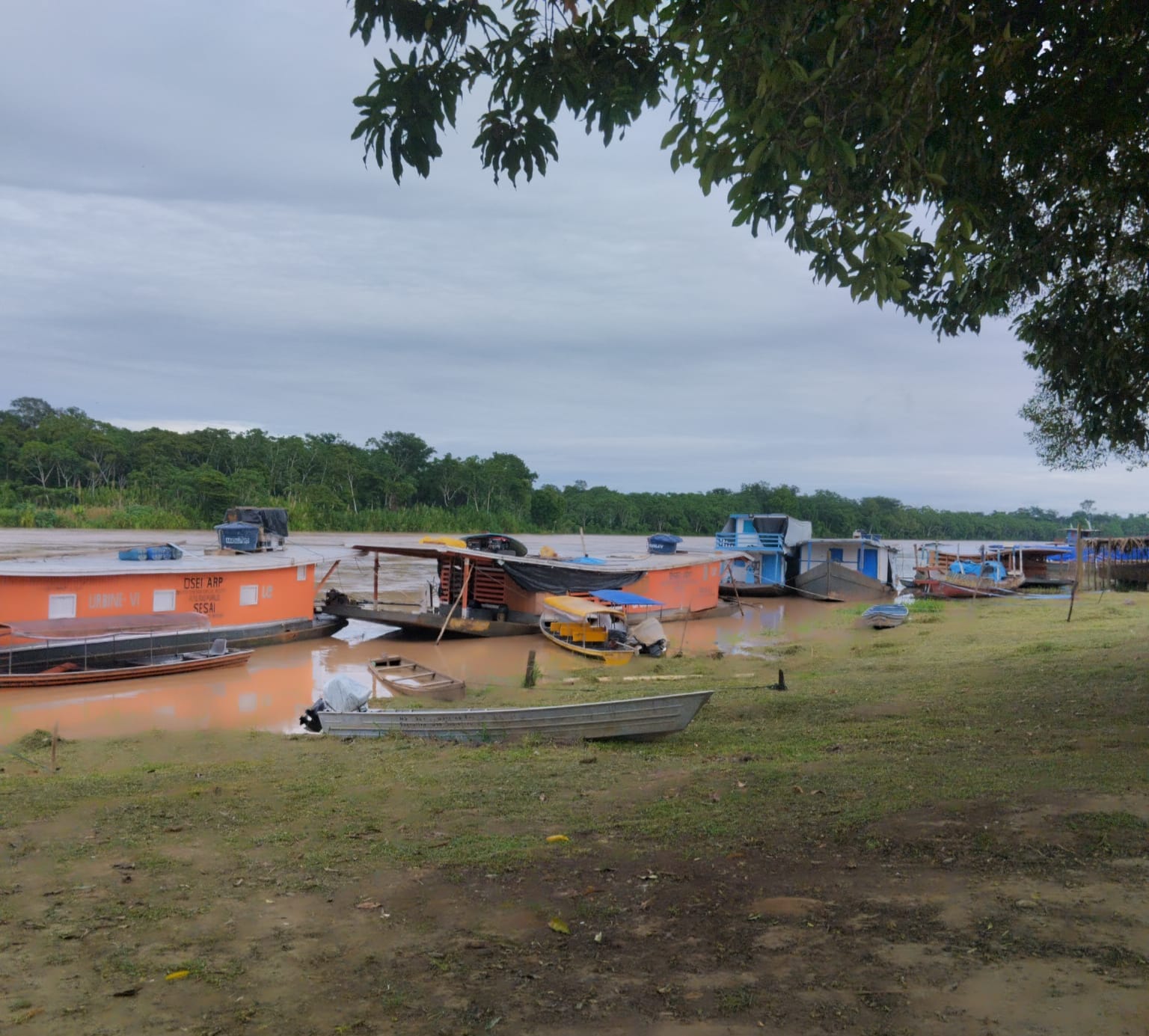 In Santa Rosa, the water level of the Purus River rose more than 2 meters from yesterday to today