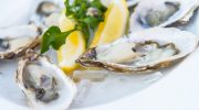 Goodbye oysters and mussels? Experts warn that these 'favourites' of the Portuguese could become extinct by this date