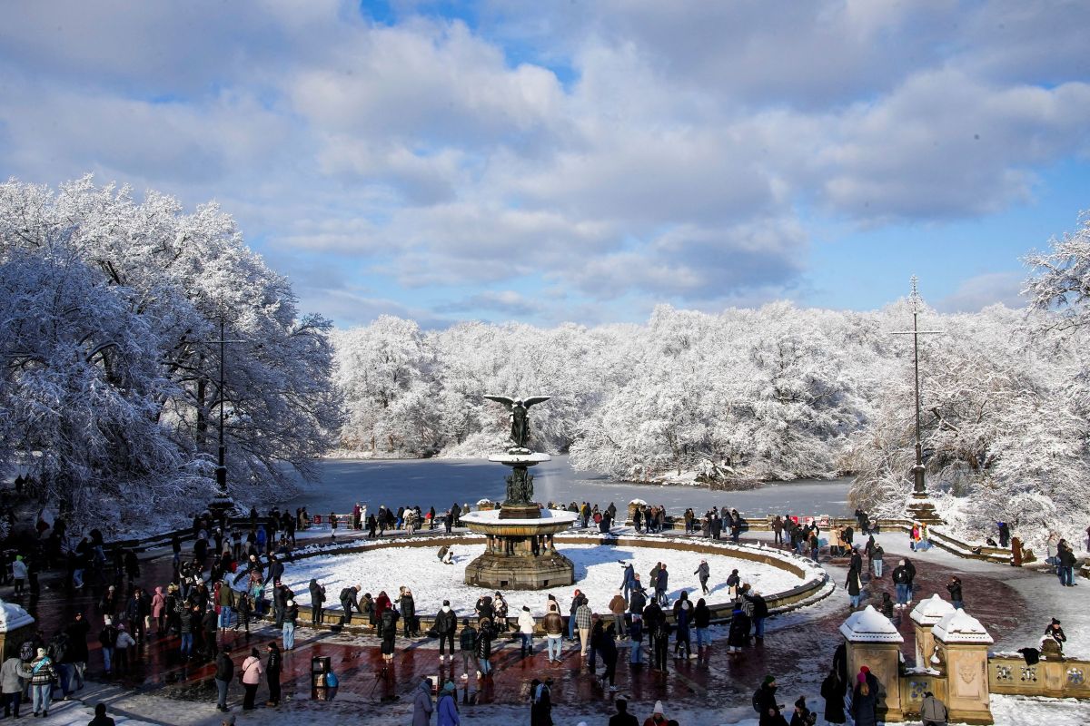 New York turned white: Magical images from Central Park