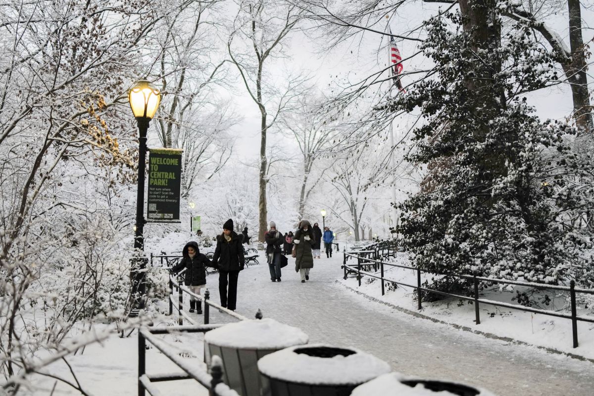New York turned white: Magical images from Central Park