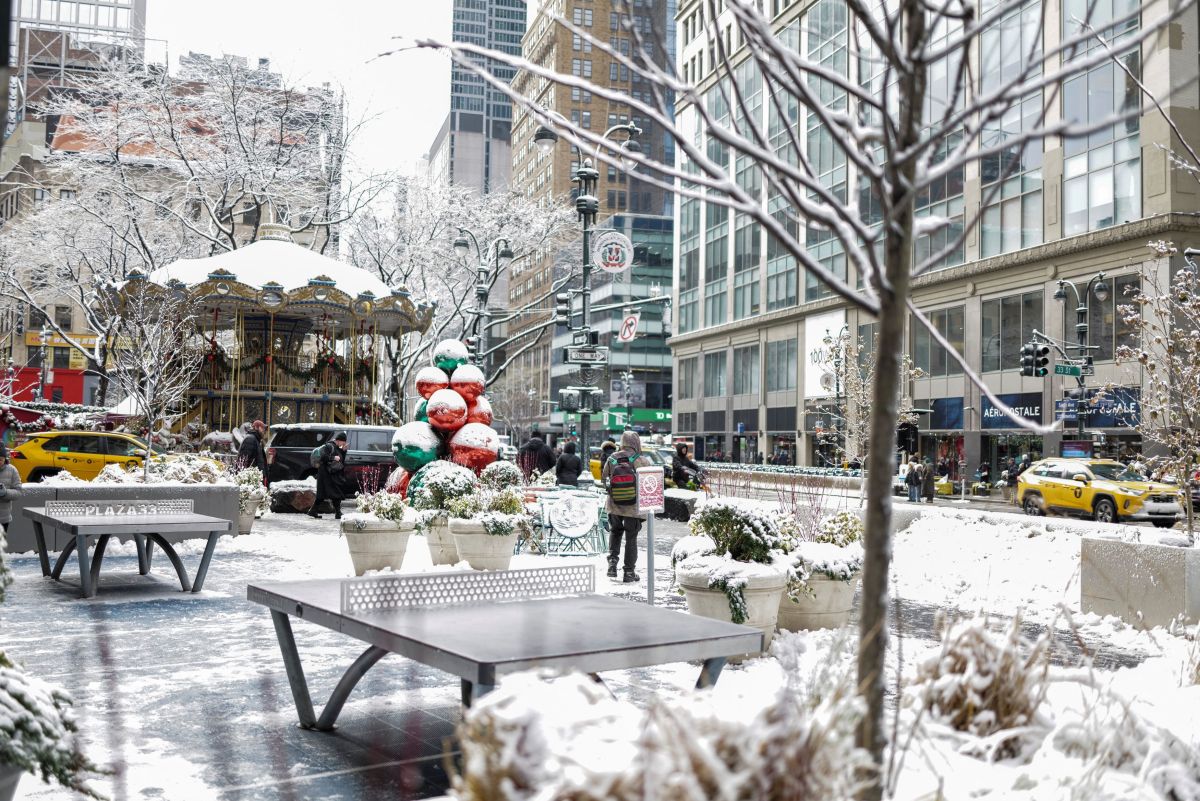 New York turned white: Magical images from Central Park