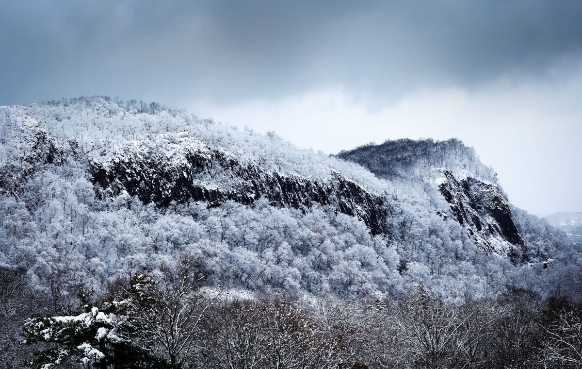 New York turned white: Magical images from Central Park