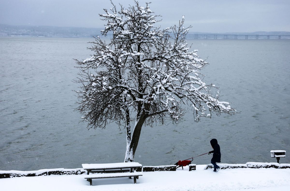 New York turned white: Magical images from Central Park