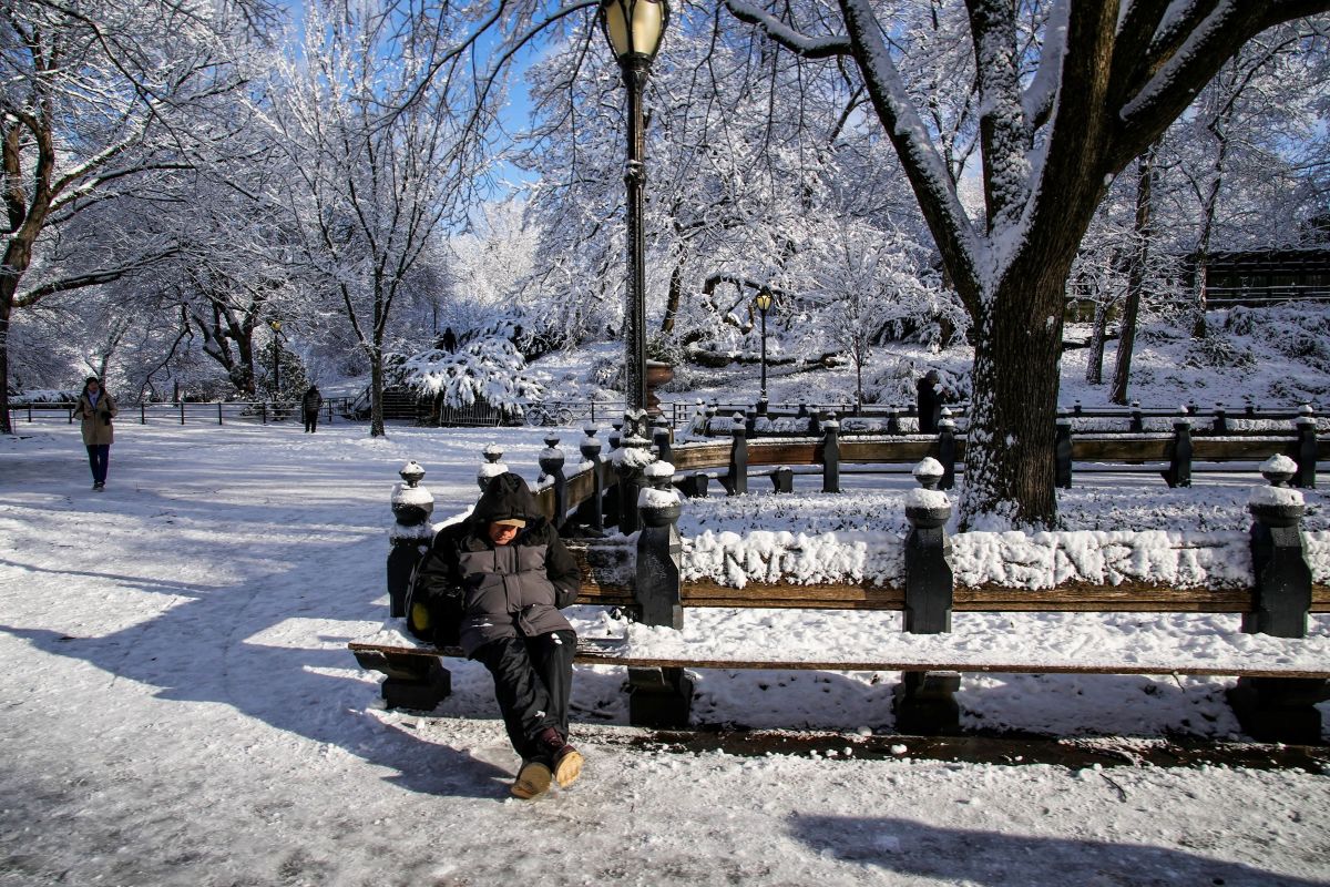New York turned white: Magical images from Central Park