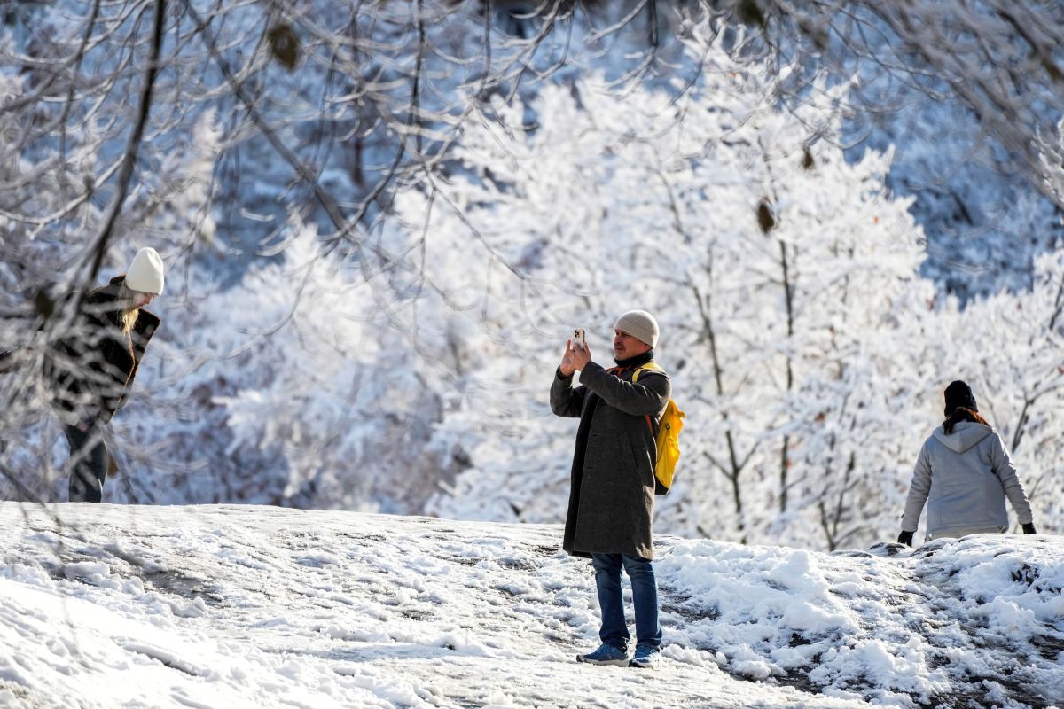 New York turned white: Magical images from Central Park
