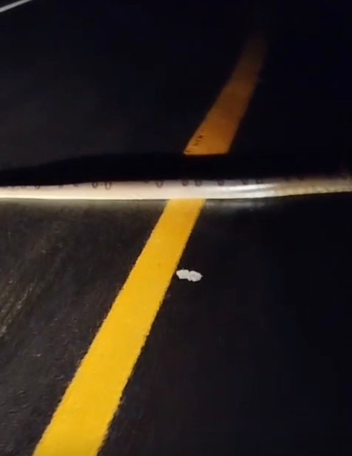 Giant anaconda surprises drivers when crossing BR-364, in the interior of Acre; WATCH