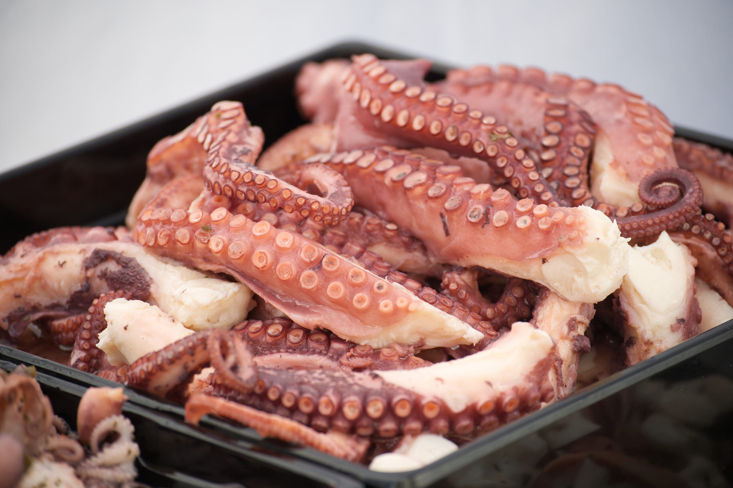 Expert warning: If you see these signs on your octopus, don't buy it for Christmas