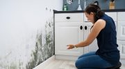 Goodbye humidity at home: learn the Polish method that helps stop mold without buying appliances