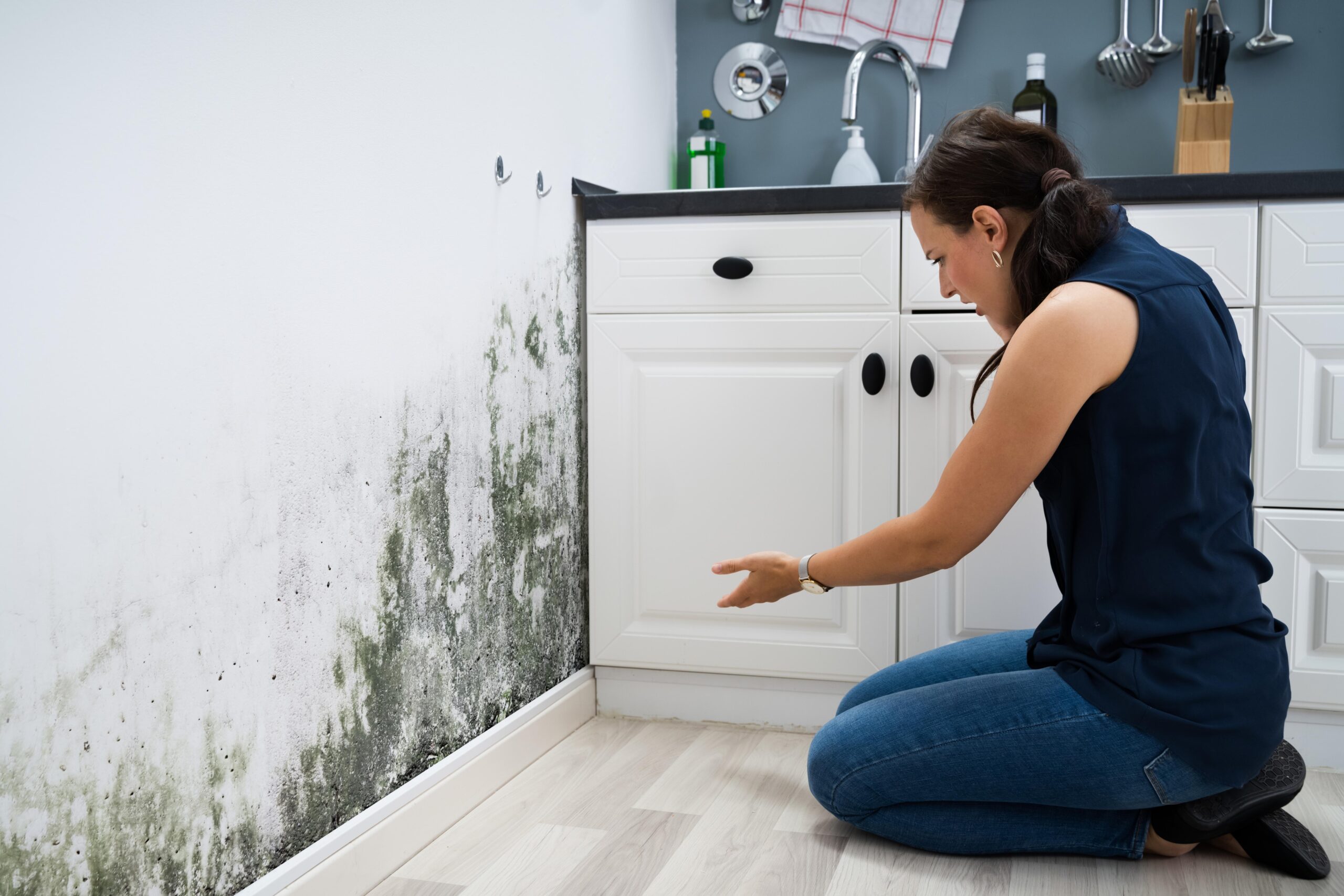 Goodbye humidity at home: learn the Polish method that helps stop mold without buying appliances