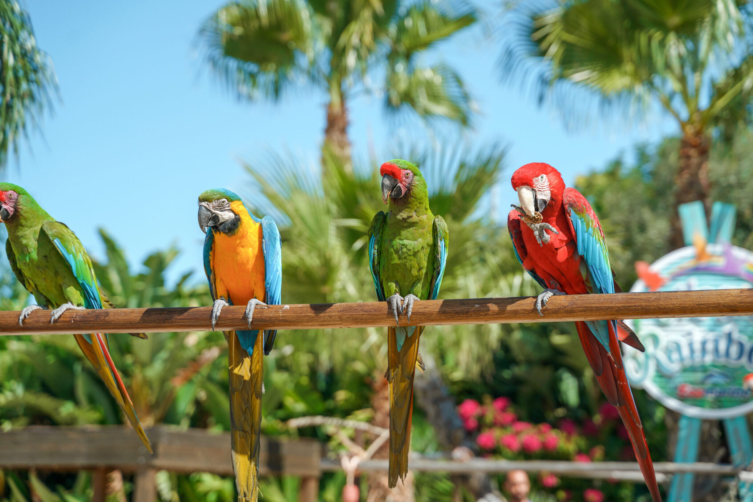 Animal welfare is once again recognized at Zoomarine for the eighth year in a row