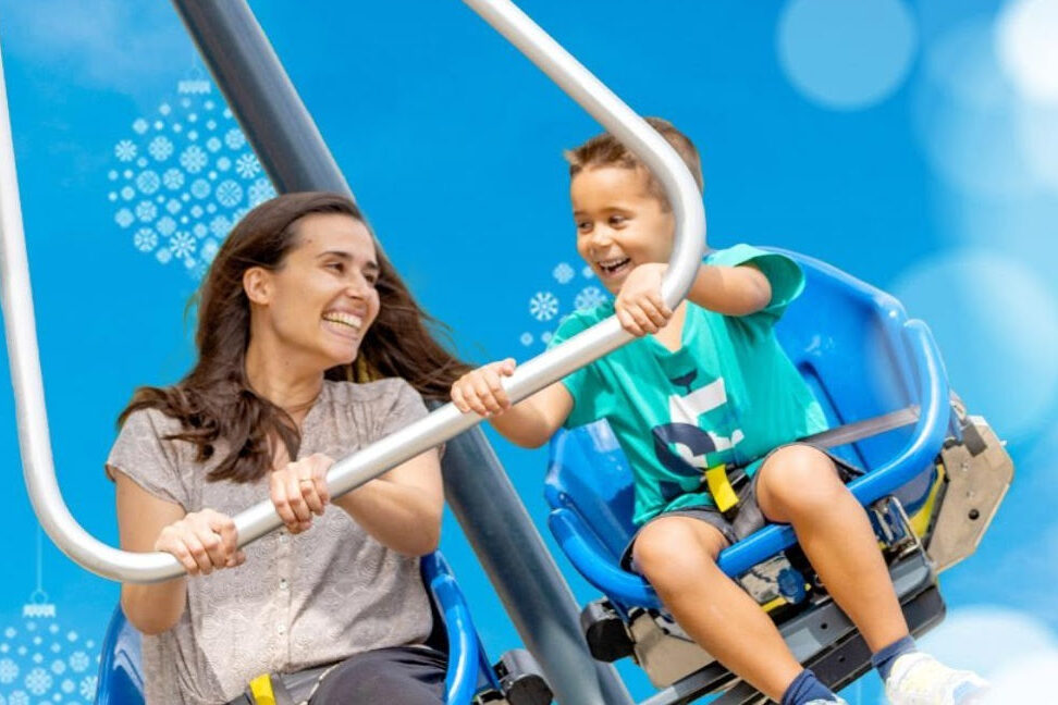 Zoomarine launches Christmas campaign with discounts on tickets, passes and dolphin experiences