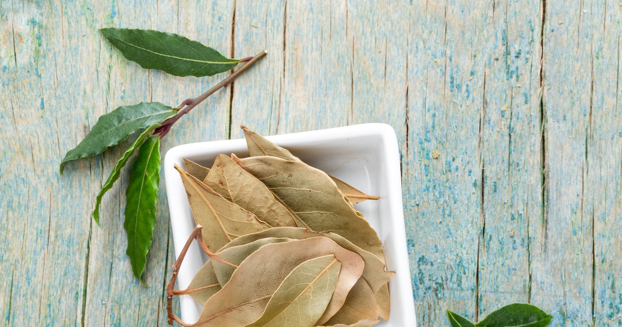Bay leaves repel moths with their scent. It is worth placing them preventively in kitchen cabinets /123RF/PICSEL