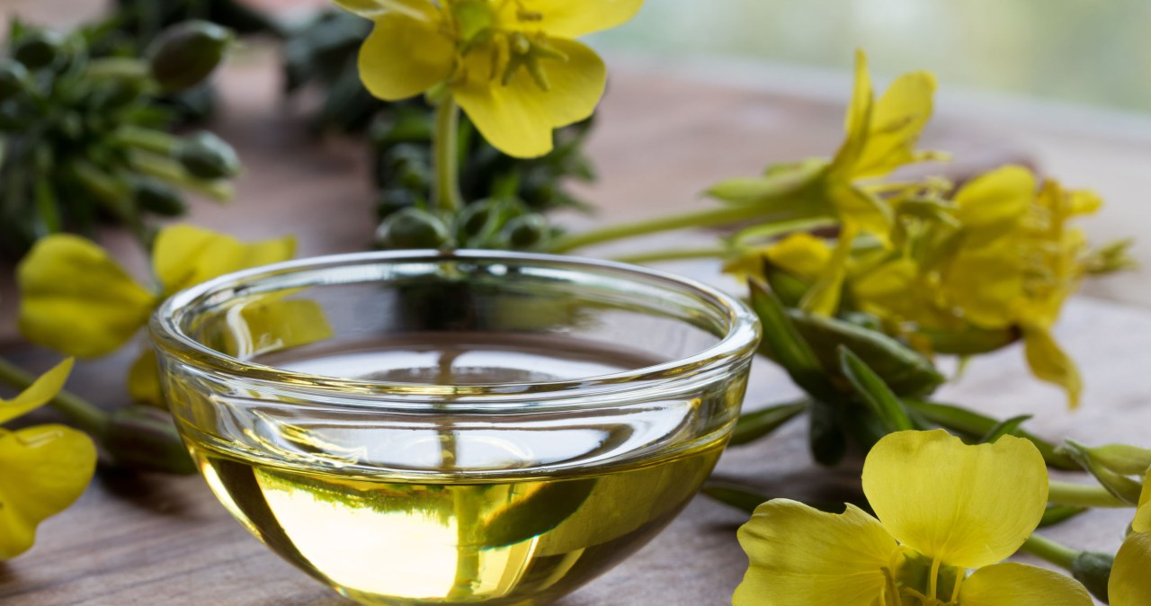 Evening primrose oil will protect our skin against frost /123RF/PICSEL