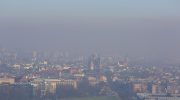 This is how you will clear your apartment of smog. The air will be better if you do this