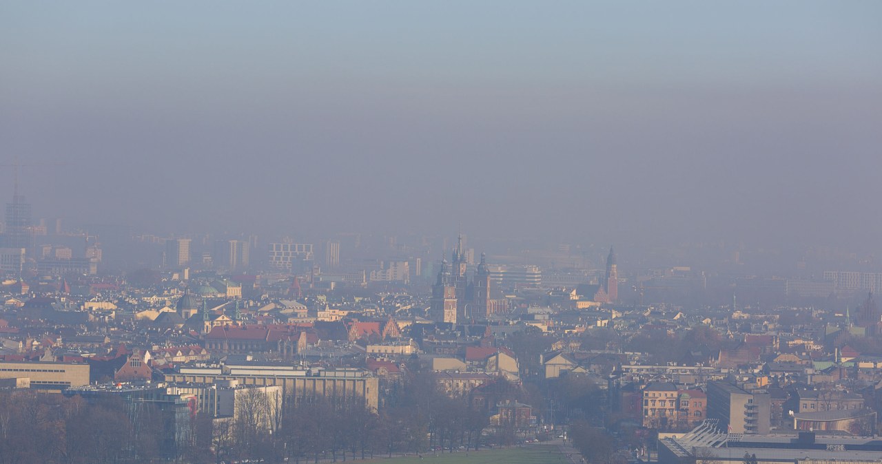 This is how you will clear your apartment of smog. The air will be better if you do this