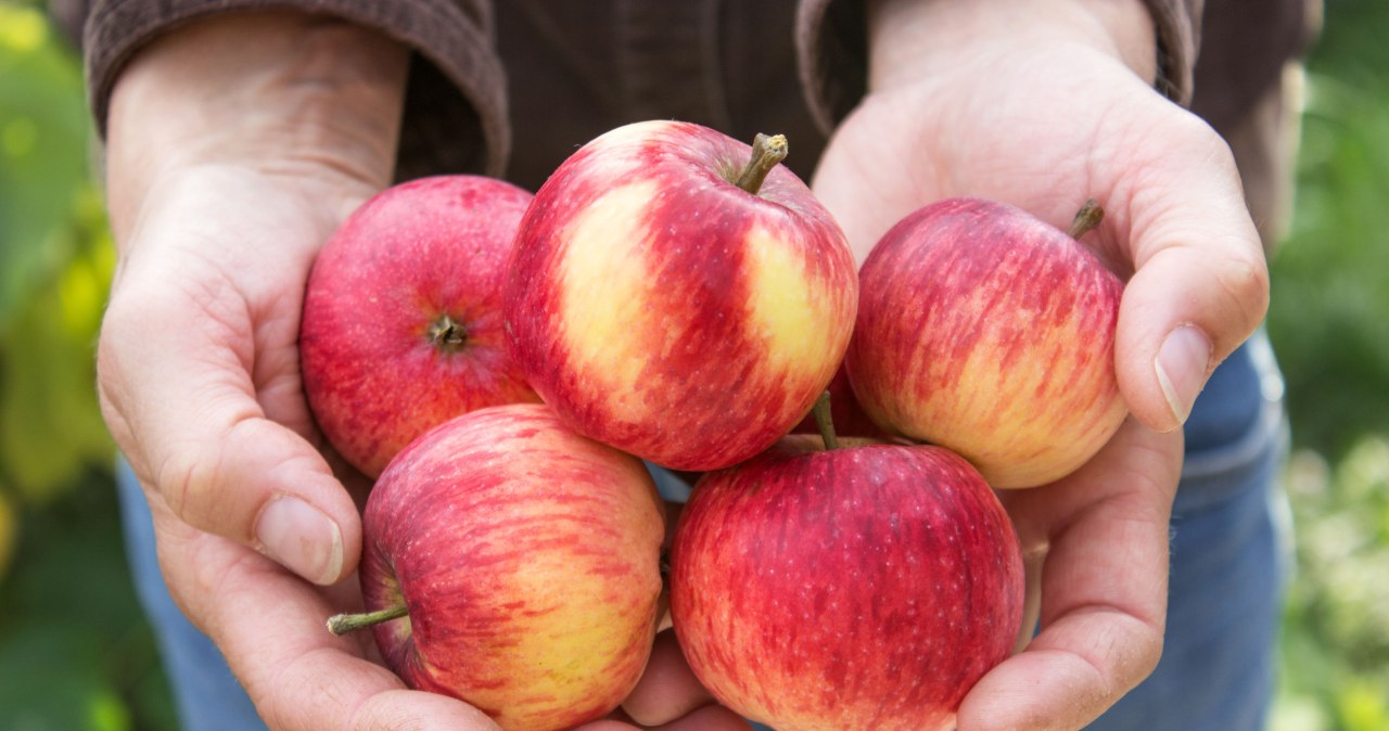 Don't eat this part of the apple. This could have serious consequences