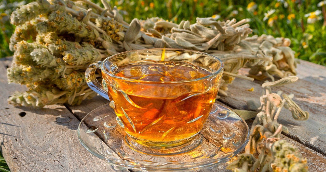 Rosehip infusion supports better digestion and the immune system. However, /123RF/PICSEL has many more advantages