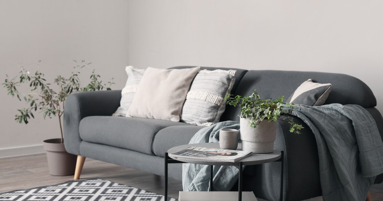 Neutral sofas are slowly becoming forgotten /Leonid Iastremskyi