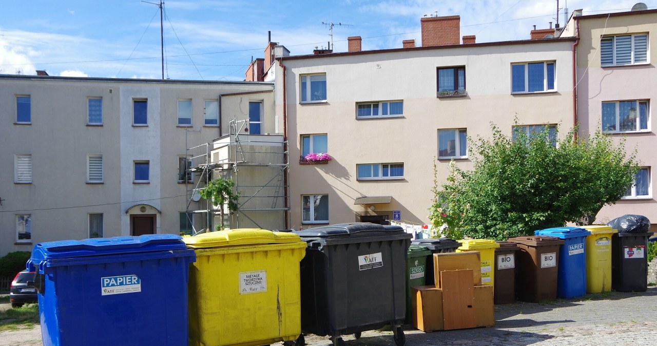 In some places, the colorful containers are joined by a white container /ZOFIA BAZAK /East News