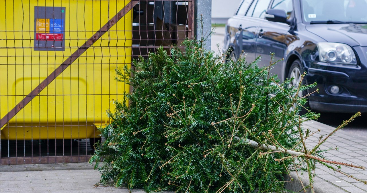 Improper disposal of a Christmas tree can be expensive. It's worth knowing what to do with both a real and artificial Christmas tree after the holidays. /Pixel