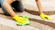 Does the carpet smell bad? Instead of spending a fortune on cleaning, sprinkle it with this