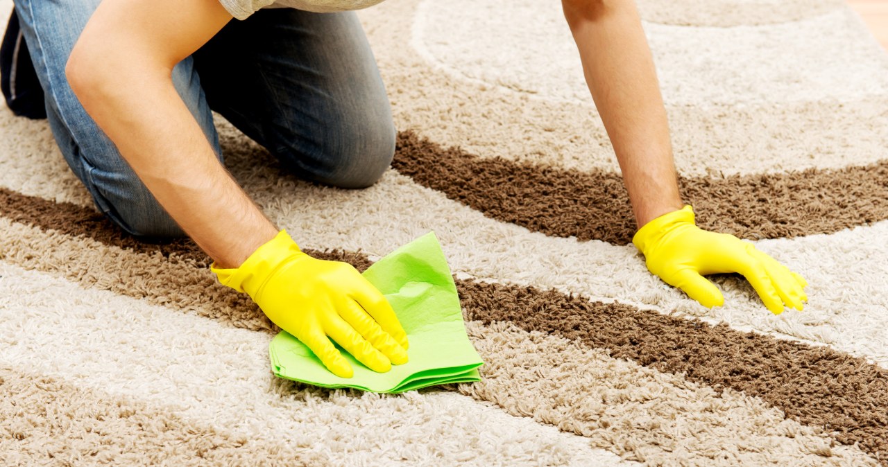 Does the carpet smell bad? Instead of spending a fortune on cleaning, sprinkle it with this