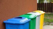 White containers for waste segregation have appeared. Do you know what to put in them?