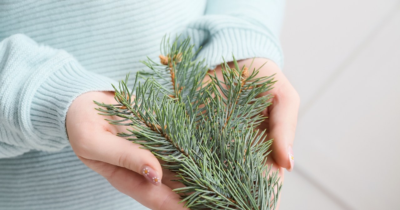Is your Christmas tree falling apart? You will use needles for this