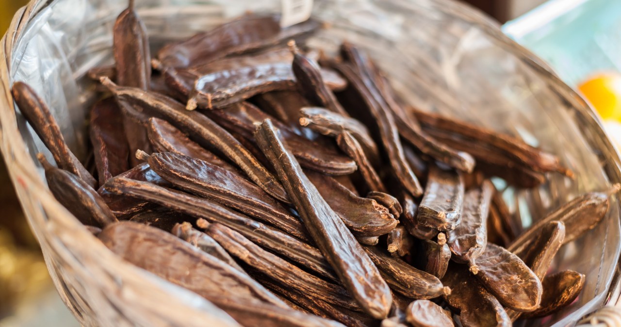 It is as healthy as cocoa, but still little known. It stabilizes sugar, strengthens bones, and the intestines work much better