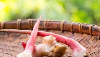 An extremely aromatic relative of ginger. It melts fat tissue, lowers sugar and helps with rheumatic pain