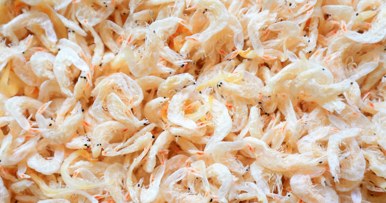 In the Polish People's Republic it was a solution to the lack of meat, healthier than fish. Today forgotten, although he is super healthy