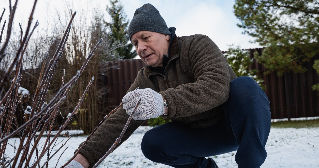 This January, grab that thing from the garage. These plants need your attention