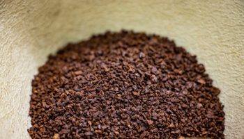 Fine grains especially recommended for seniors. They improve memory and give you strength, and they will also help you lose weight