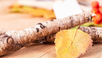 Do this with the branch in January. You will protect your family from problems