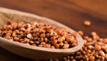 A better substitute for rice and millet. Good for diabetics, gluten-free, light on the intestines