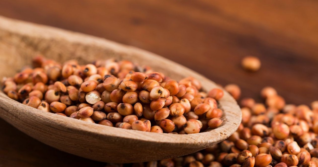 A better substitute for rice and millet. Good for diabetics, gluten-free, light on the intestines