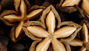 An Inca superfood that is over 3,000 years old. It produces the purest and healthiest oil