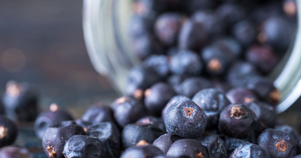 Fresh and dried berries for meat and pickles. They have anti-inflammatory properties, lower sugar levels and strengthen immunity