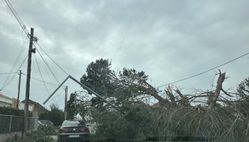 Problem in Leiria: there are no workers for repairs (and it will get worse)