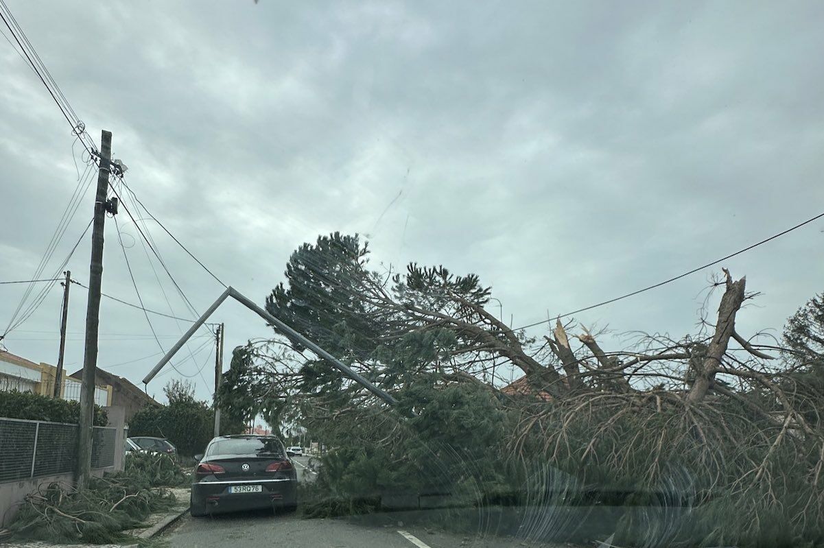 Problem in Leiria: there are no workers for repairs (and it will get worse)