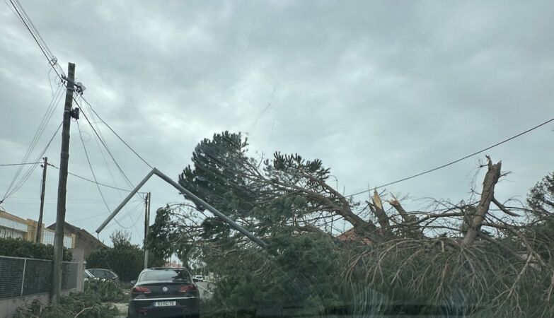 Problem in Leiria: there are no workers for repairs (and it will get worse)