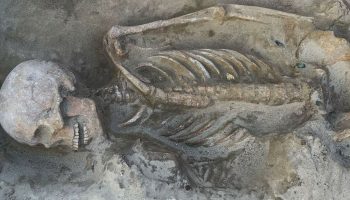 Medieval graves of elite warriors and their ornate weapons discovered in Hungary