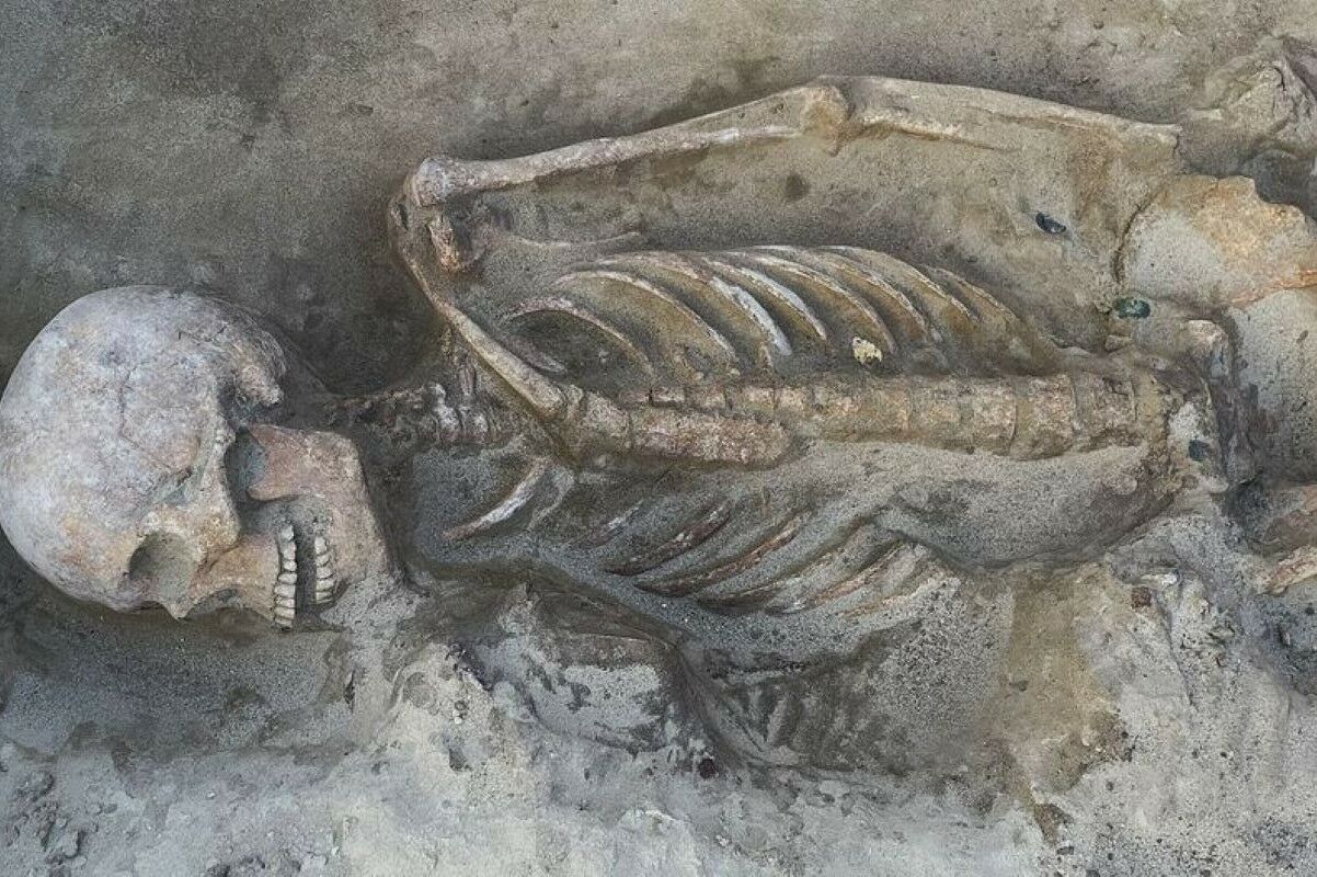 Medieval graves of elite warriors and their ornate weapons discovered in Hungary