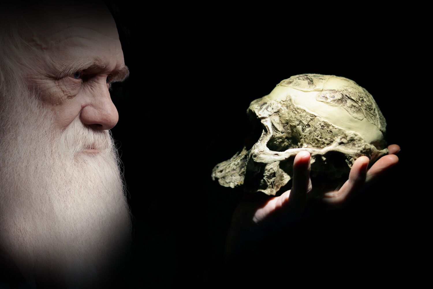A headache for Darwin: the evolution clock moves bumpily