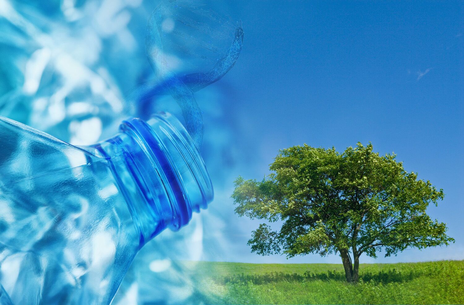 Another 98 million euros did not arrive: Portugal defaulted on recycling