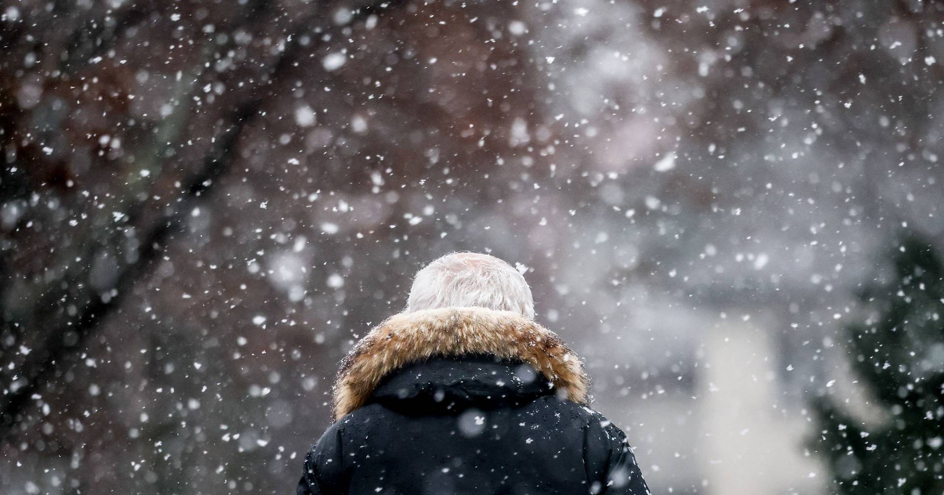 Freezing week: cold leaves nine districts under warning