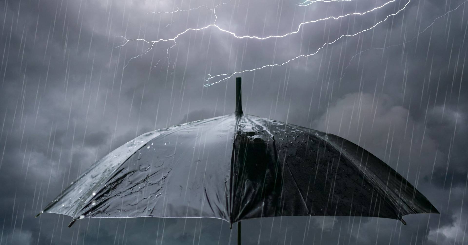 Prepare your umbrella and galoshes: this week is marked by rain