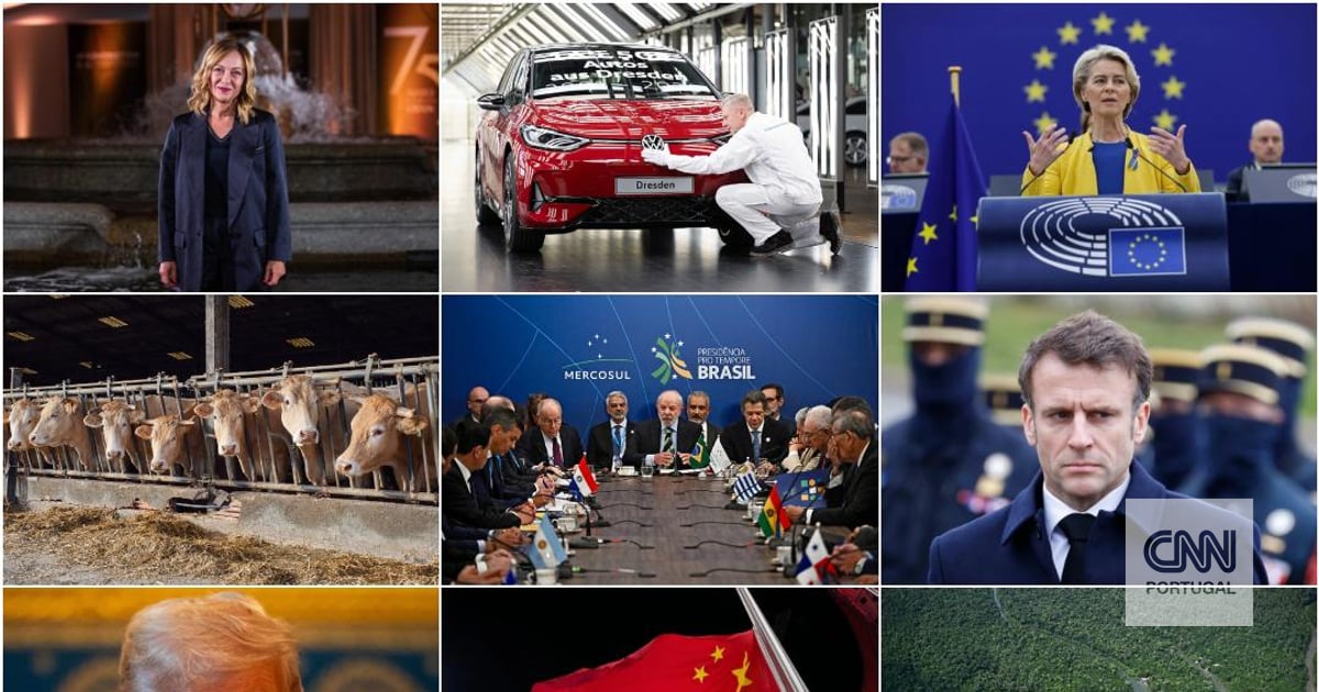 The big ones lose, some small ones win: the winners and losers of the agreement between the EU and Mercosur